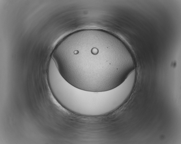 X0000114681476200911121446