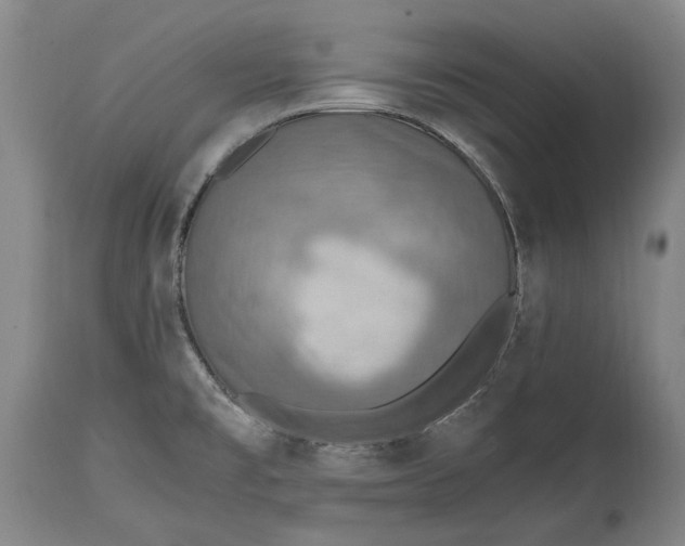 X0000114681477200911121446