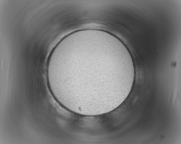 X0000114681478200911121446