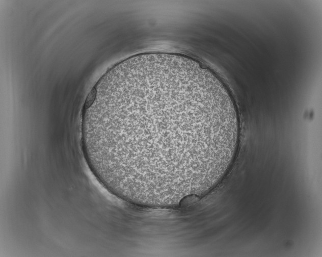 X0000114681479200911121445