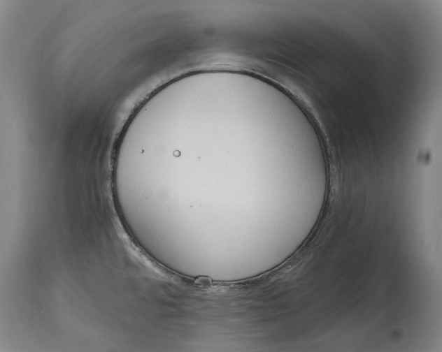 X0000114681480200911121445