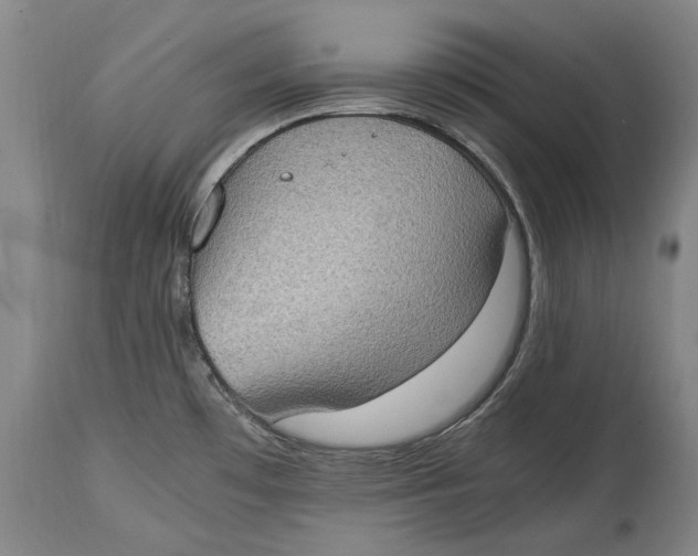 X0000114681481200911121445