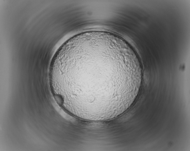 X0000114681482200911121445