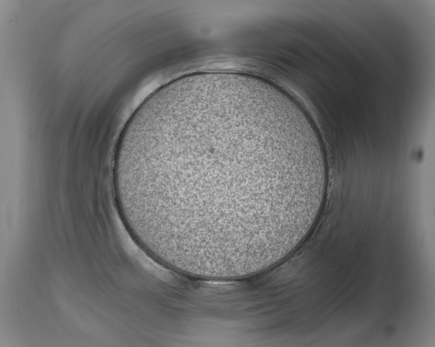 X0000114681483200911121445