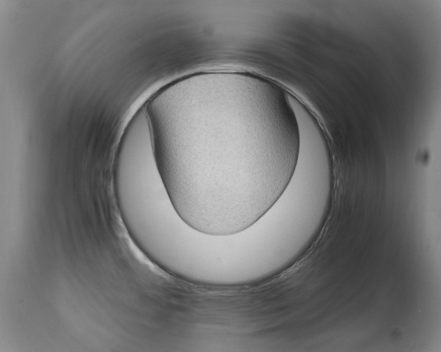 X0000114681484200911121445
