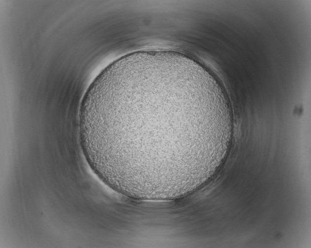 X0000114681487200911121445