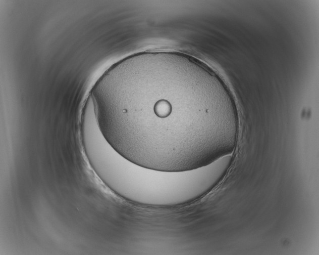 X0000114681488200911121445