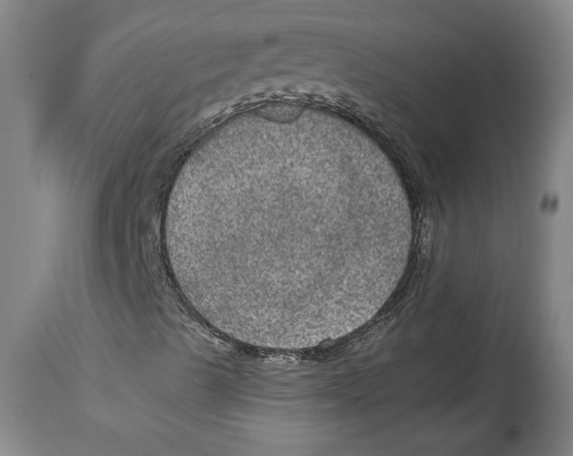 X0000114681489200911121445
