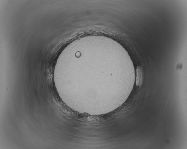 X0000114681491200911121445