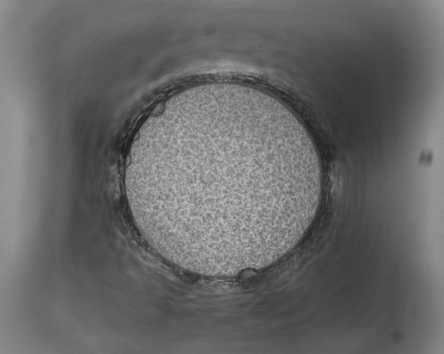 X0000114681493200911121445