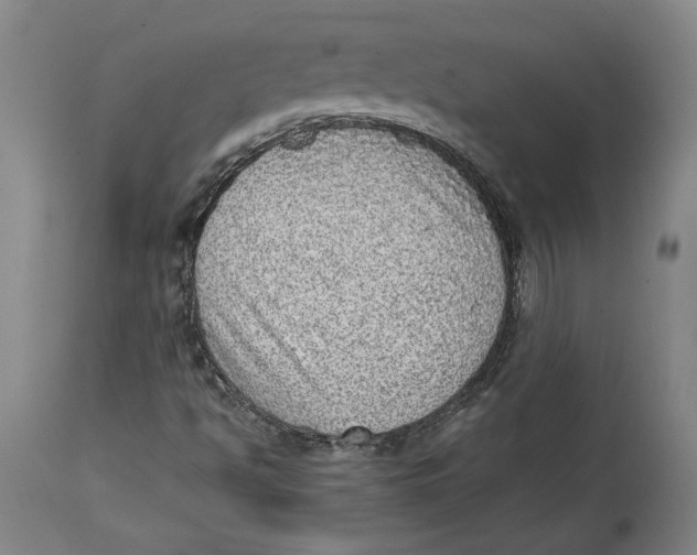 X0000114681494200911121445