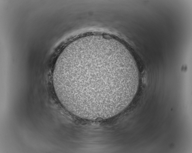 X0000114681495200911121445