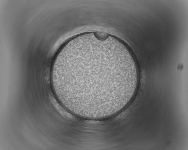 X0000114681499200911121445