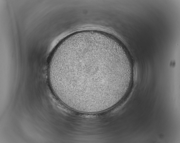 X0000114681501200911121445