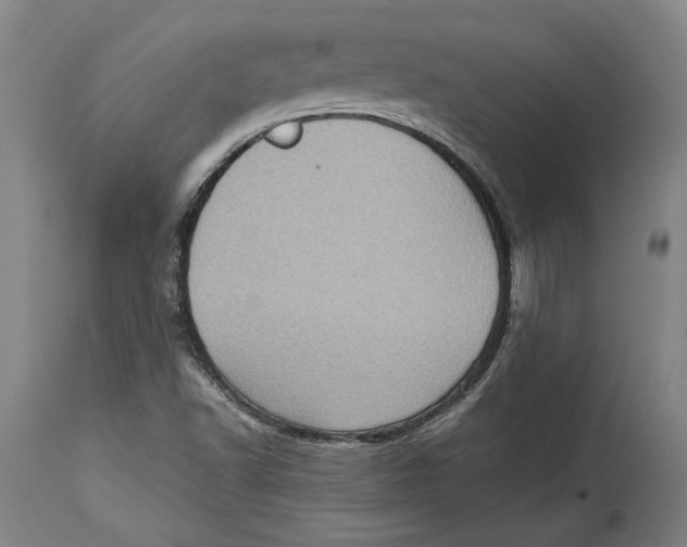 X0000114681502200911121445