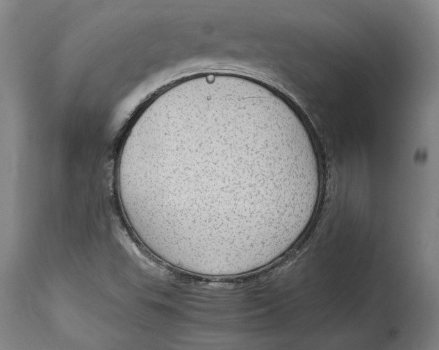 X0000114681503200911121445
