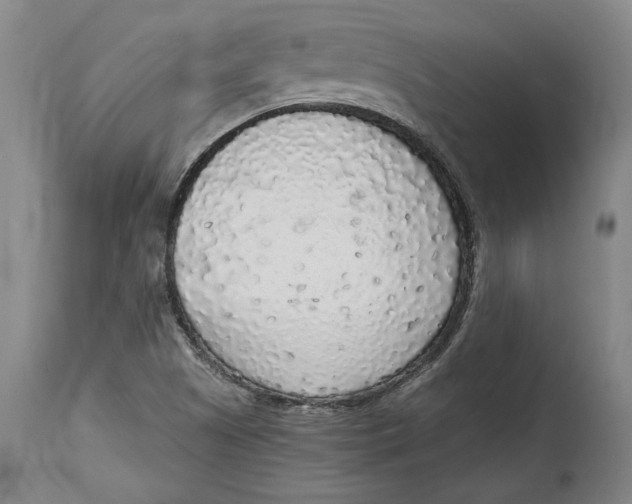 X0000114681505200911121445