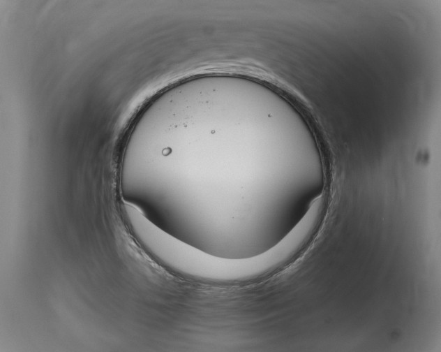 X0000114681506200911121445