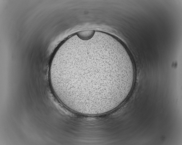 X0000114681507200911121445