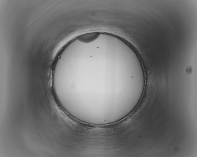 X0000114681510200911121445