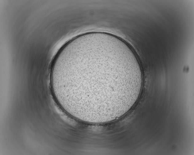 X0000114681511200911121445