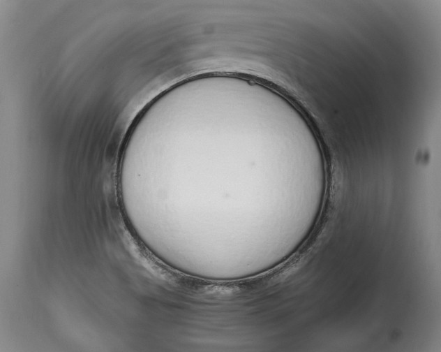 X0000114681513200911121445
