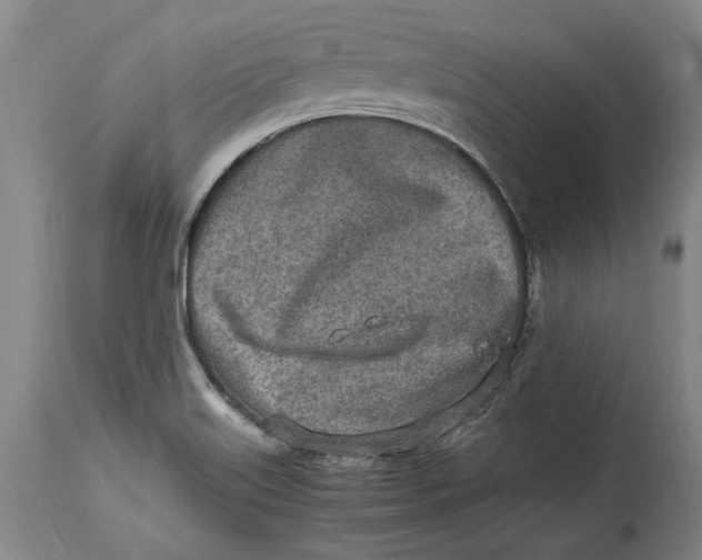 X0000114681515200911121445