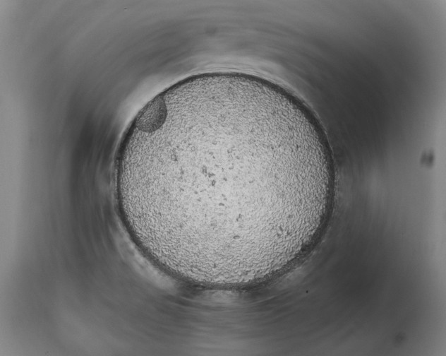 X0000114681517200911121445