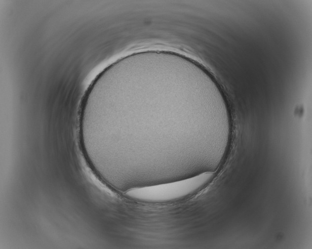 X0000114681518200911121445