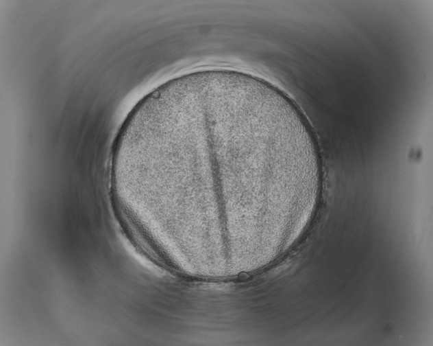 X0000114681519200911121445
