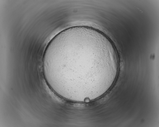 X0000114681521200911121445