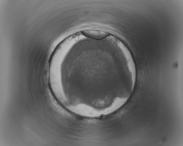 X0000114681522200911121445