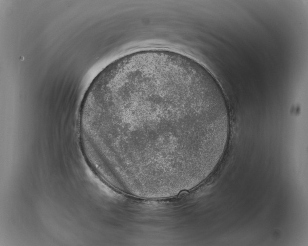 X0000114681527200911121445