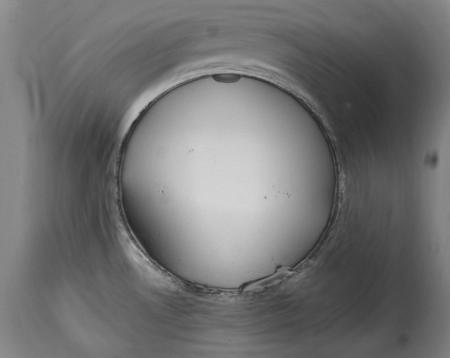 X0000114681530200911121445