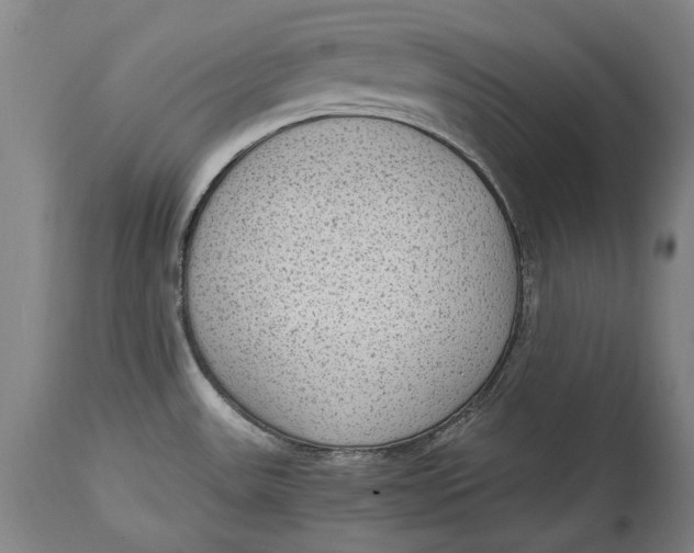 X0000114681531200911121445