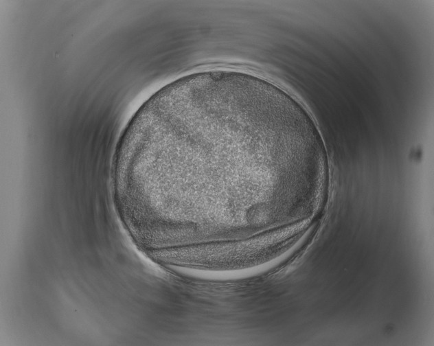 X0000114681533200911121445