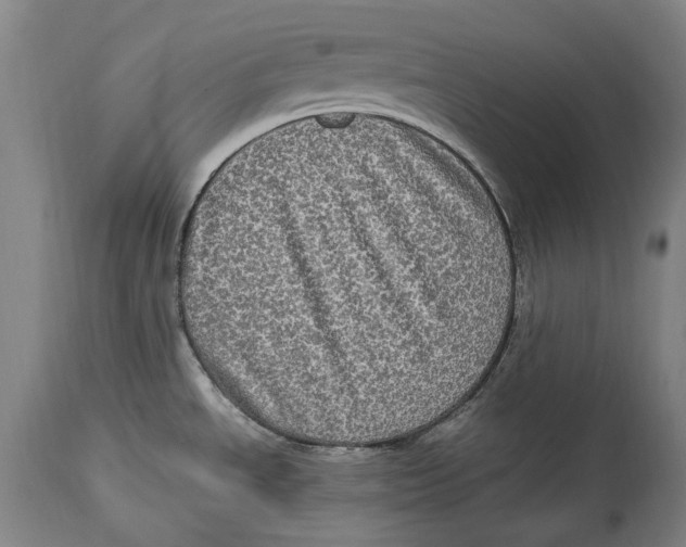 X0000114681534200911121445