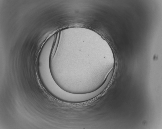 X0000114680001200911181241