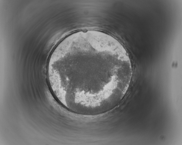 X0000114680002200911181241
