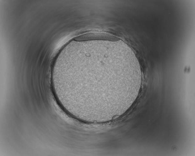 X0000114680005200911181241