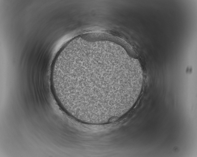 X0000114680006200911181241