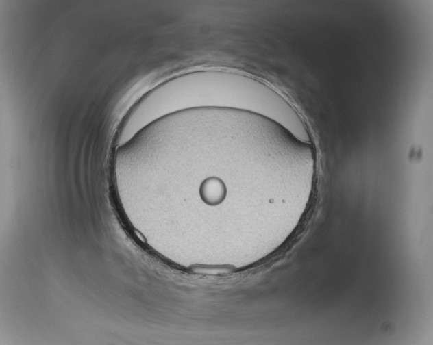 X0000114680007200911181241