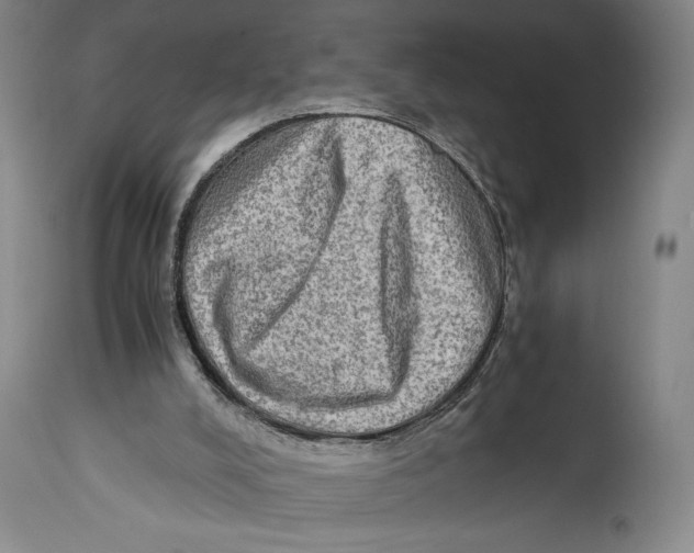 X0000114680008200911181241