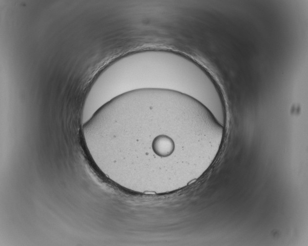 X0000114680009200911181241