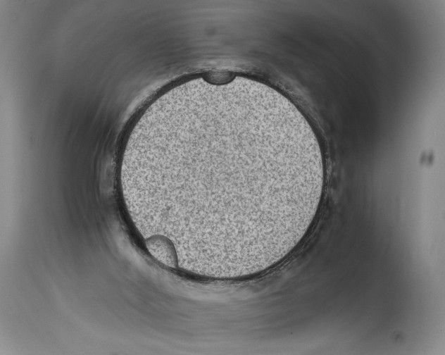 X0000114680012200911181241