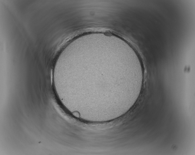 X0000114680013200911181241