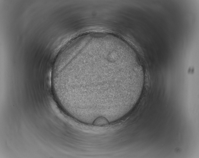 X0000114680014200911181241