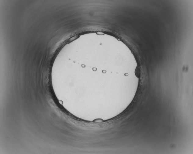 X0000114680015200911181241