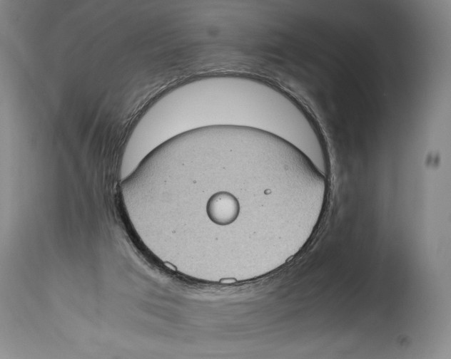 X0000114680017200911181241