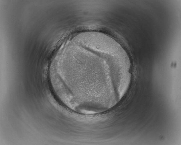 X0000114680018200911181241